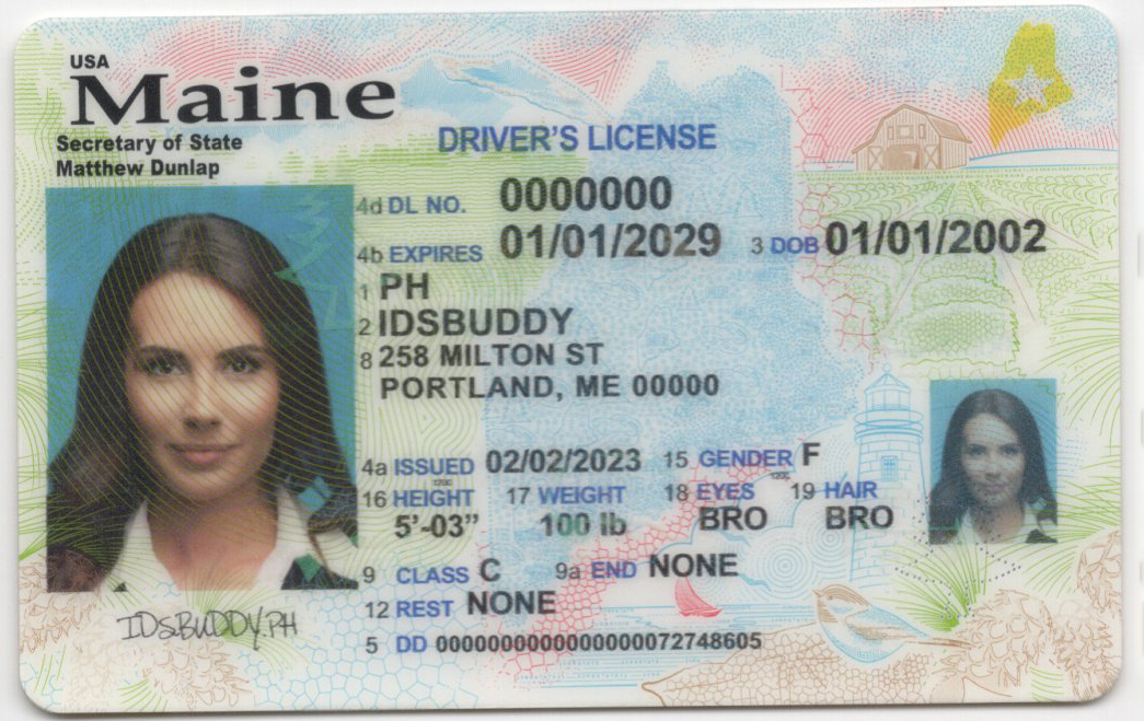 Maine Fake ID