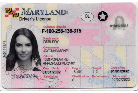 Maryland Fake ID