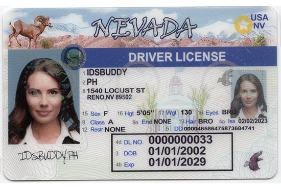 Nevada Fake ID