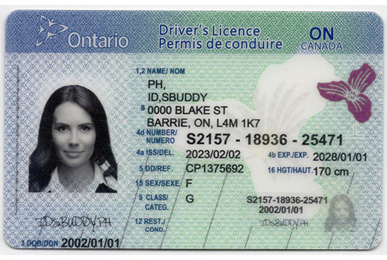 Ontario Canada Fake id