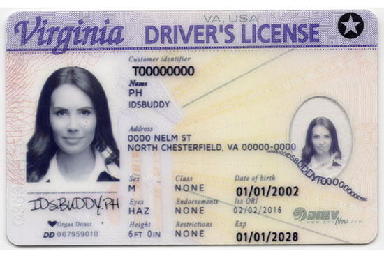 Virginia Fake ID